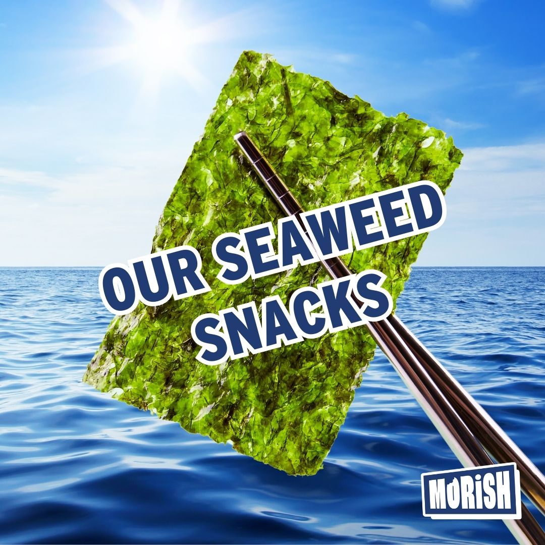 Crispy seaweed snack in front of bright ocean | Morish Snacks