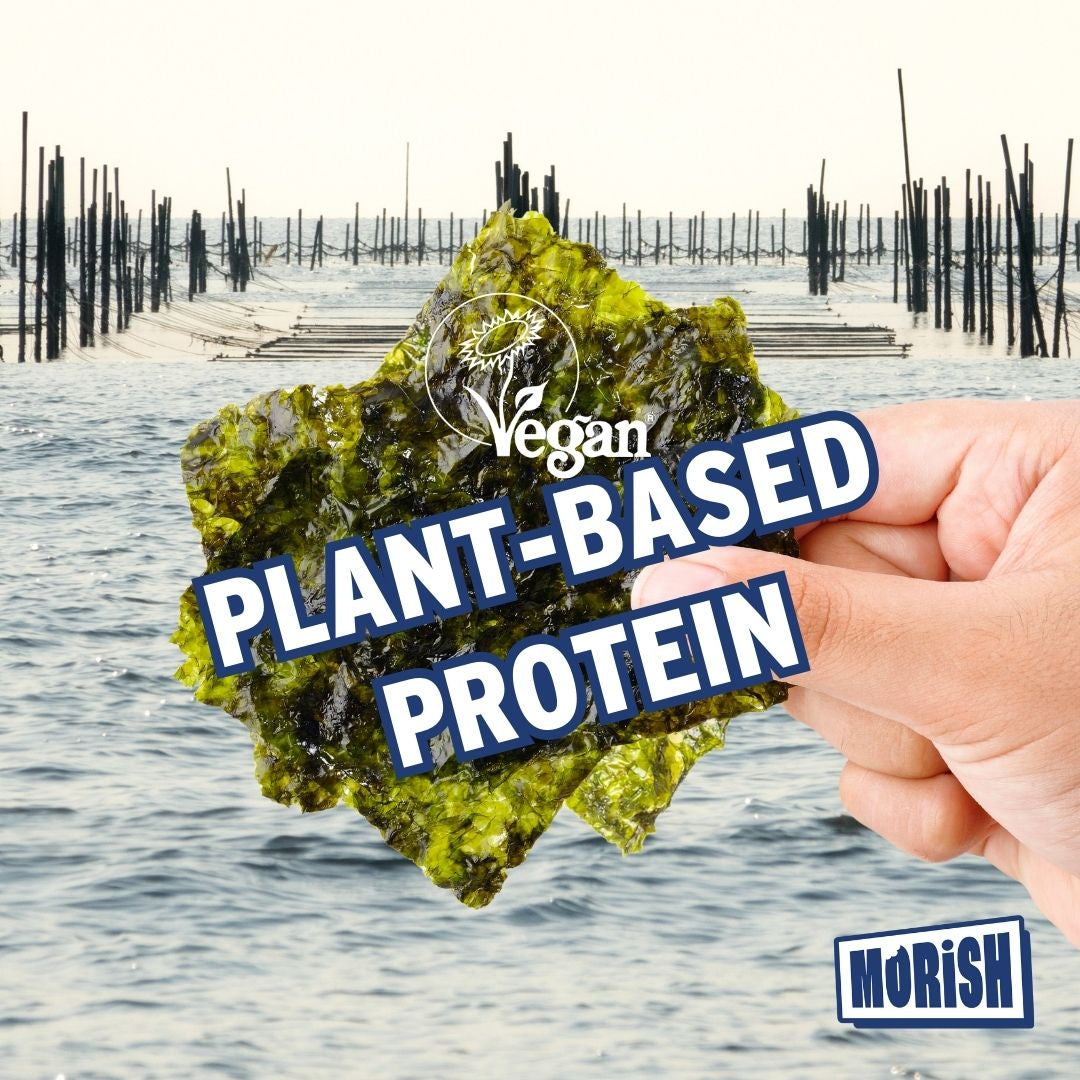 Seaweed snacks with Vegan Society logo | Morish Snacks