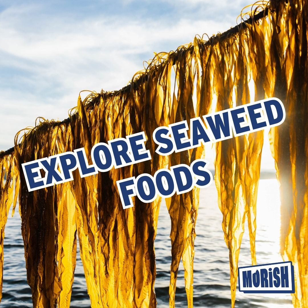 Raw seaweed drying in the sun | Morish Snacks