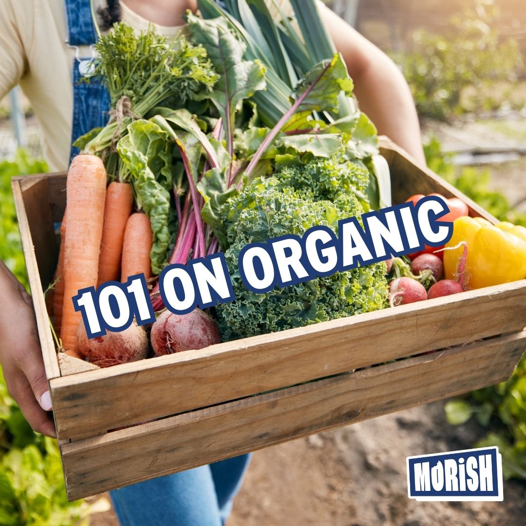 Crate with variety of organic vegetables | Morish Snacks