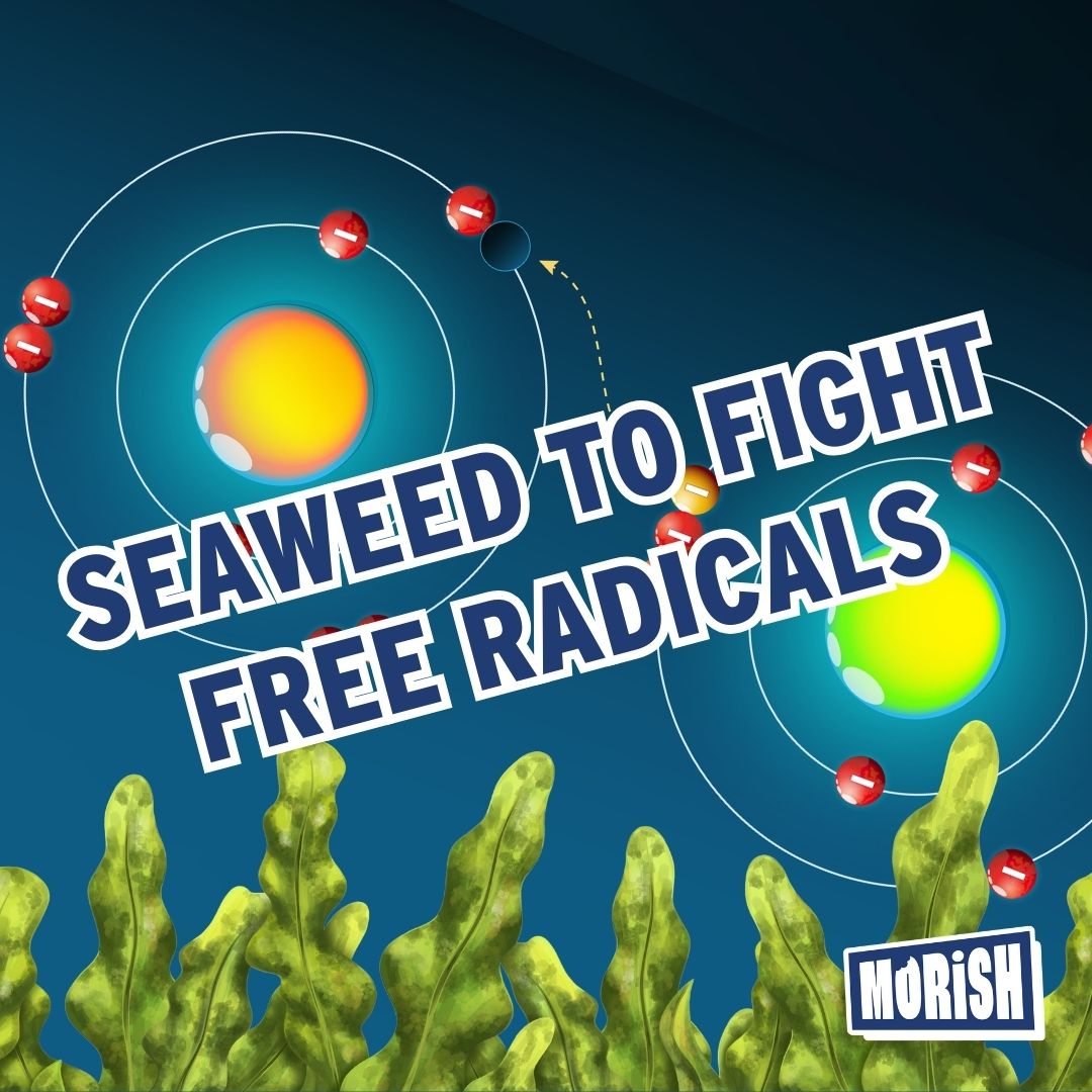 Atom structure of free radical and antioxidant above seaweed | Morish Snacks