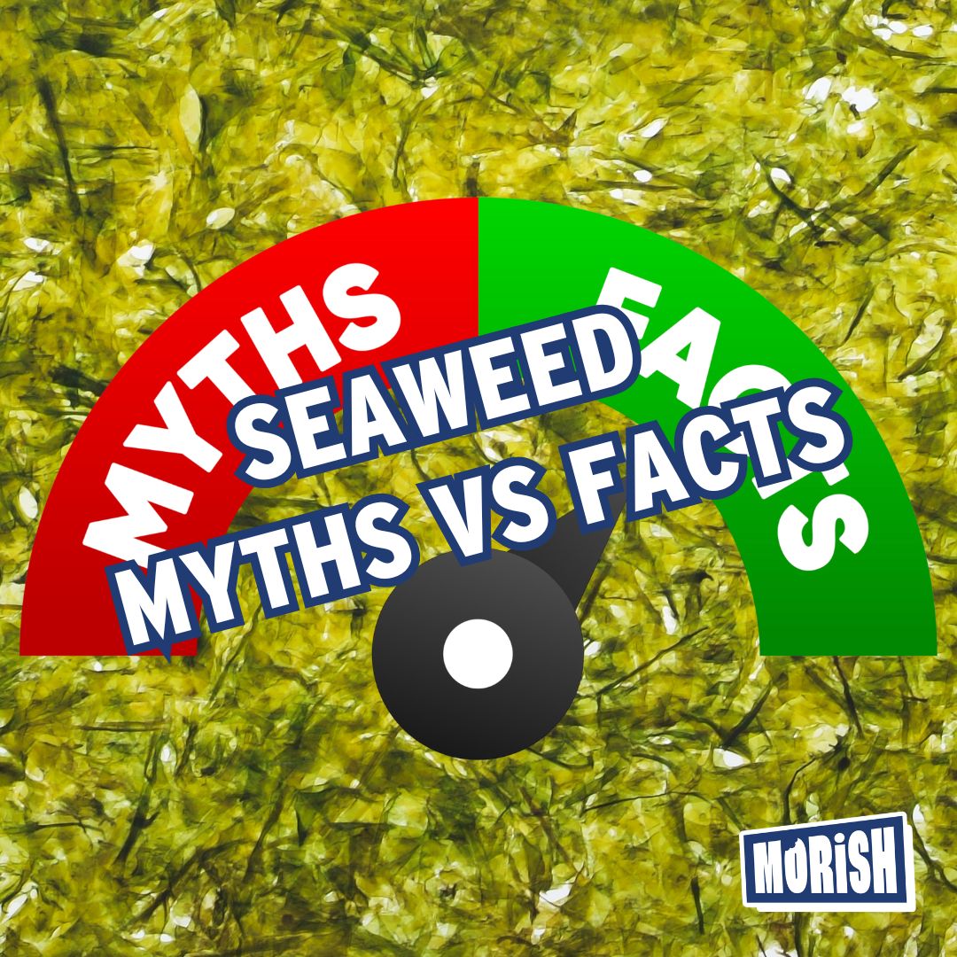 Dial ranging from myths to facts with seaweed background | Morish Snacks