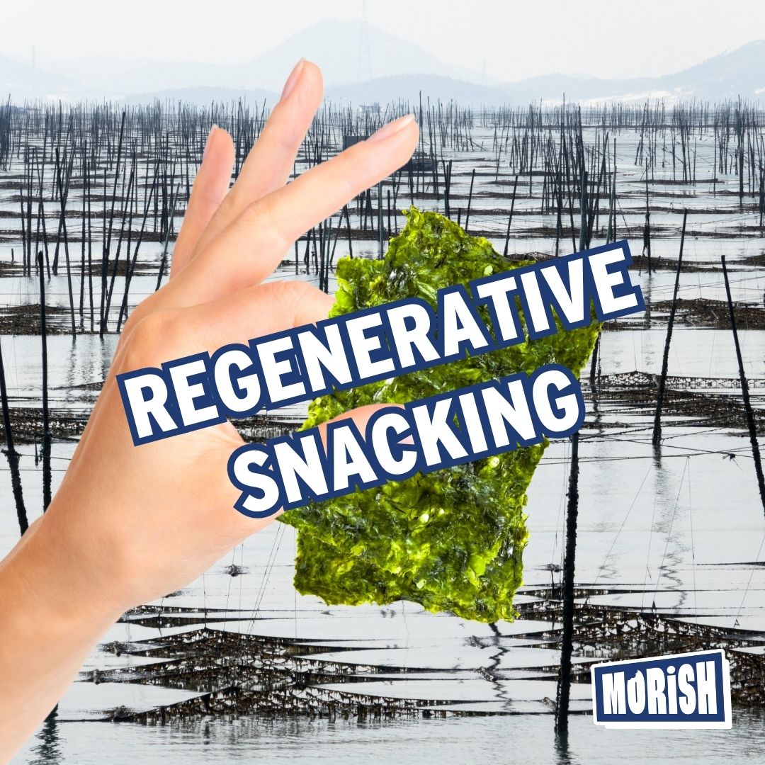 Fingers holding seaweed with regenerative farm in back | Morish Snacks