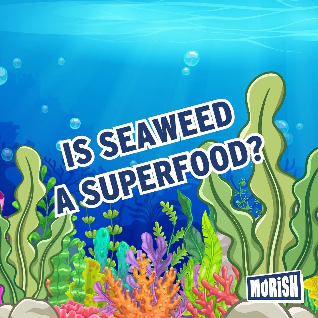Animated seaweed algae under water | Morish Snacks