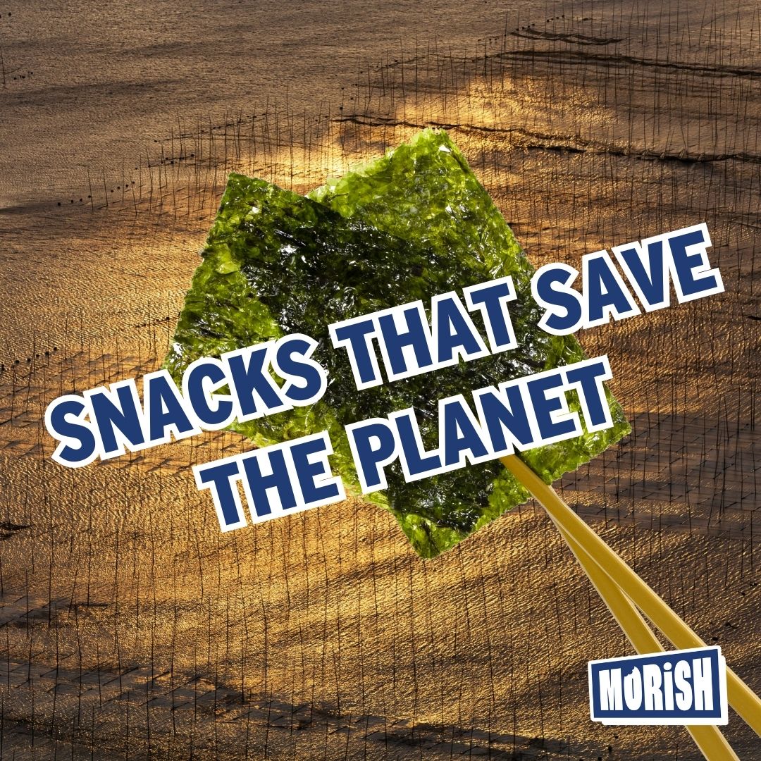 Seaweed thins in front of shiny ocean farm | Morish Snacks