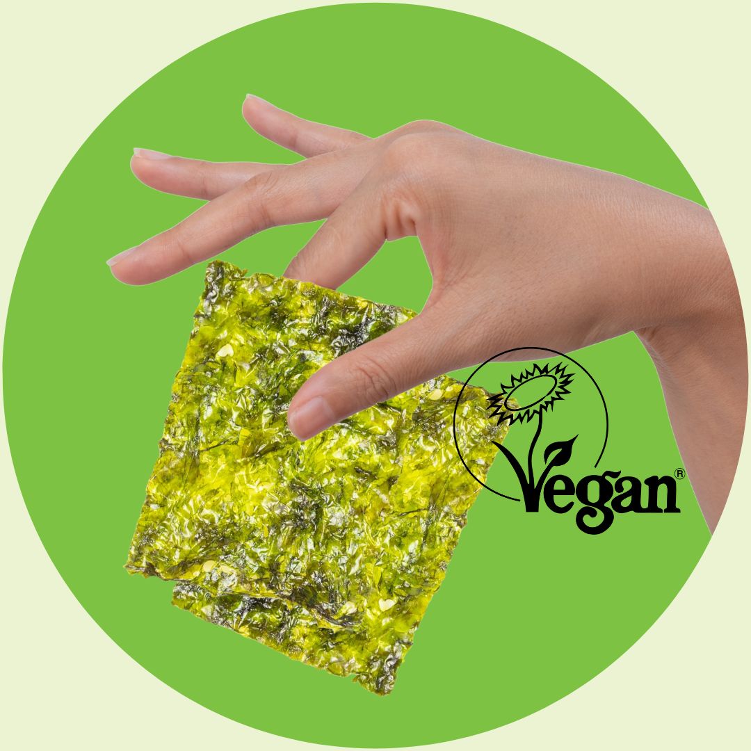 Vegan snack held by hand on green background | Morish Snacks