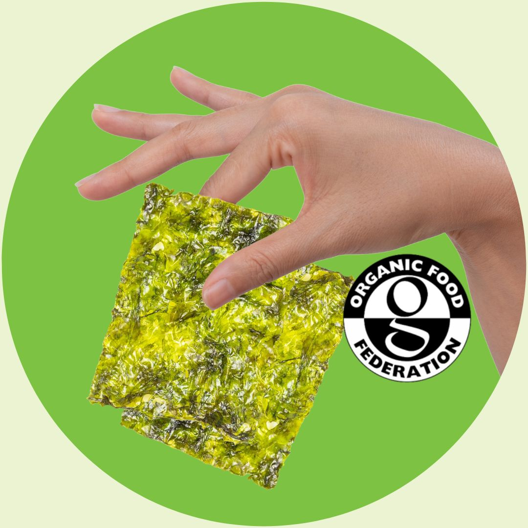 Organic seaweed snack held by hand on green background | Morish Snacks
