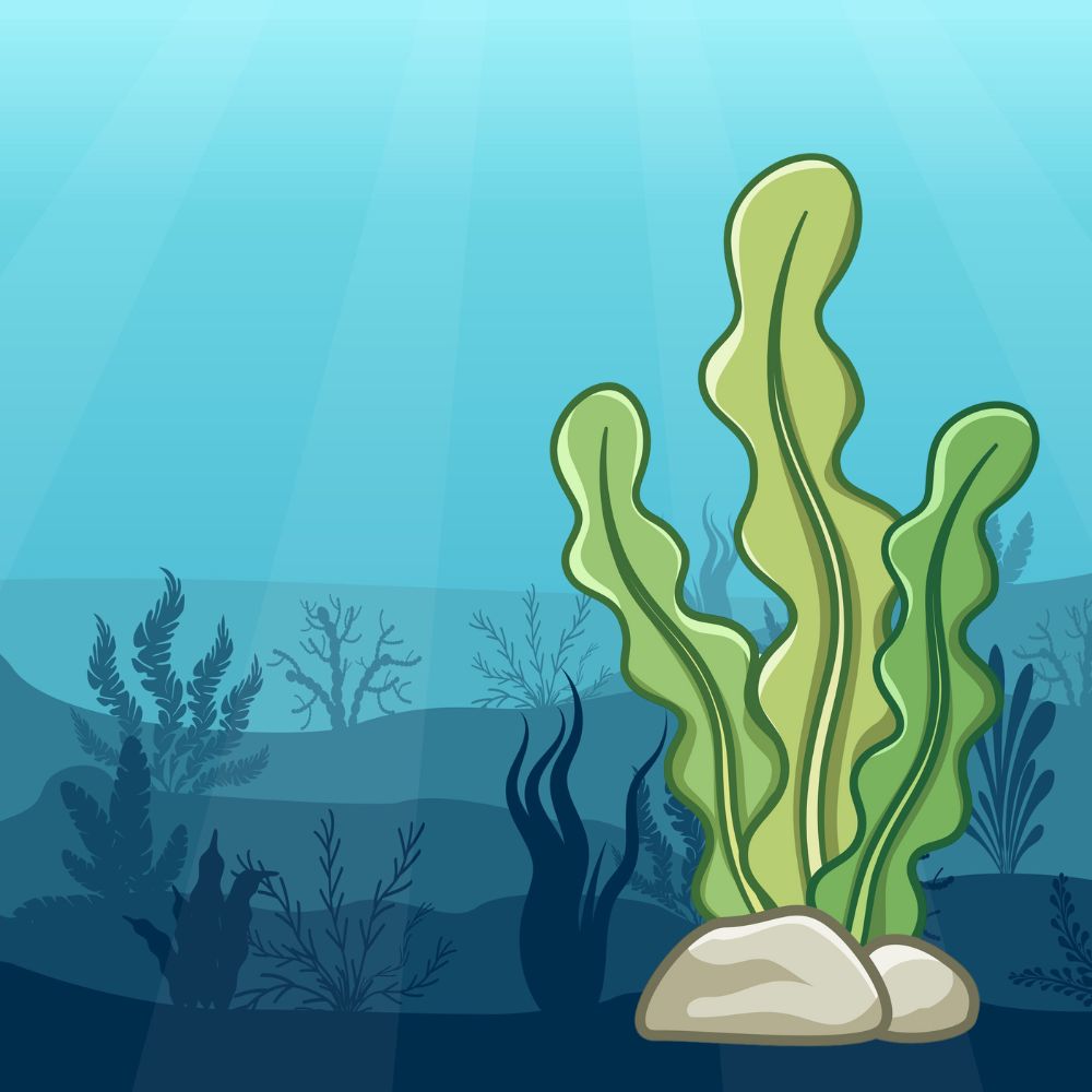 Seaweed under water illustration | Morish Snacks