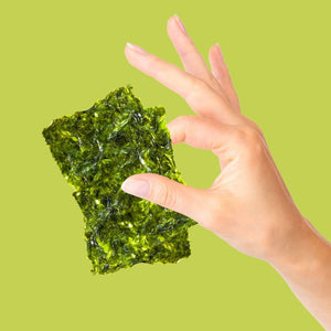 Hand holding organic olive oil seaweed between fingers| Morish Snacks