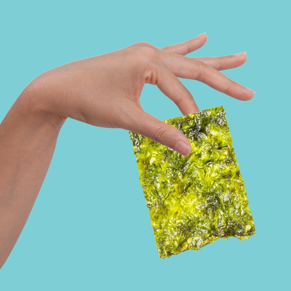 Hand holding organic sea salt seaweed between fingers| Morish Snacks