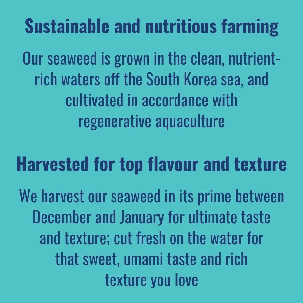 Text on seaweed farming | Morish Snacks