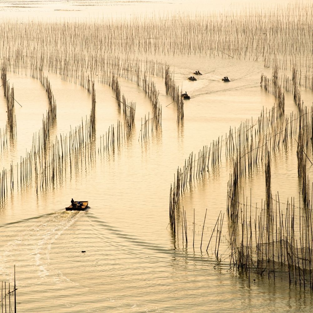 Boats in ocean seaweed farm | Morish Snacks
