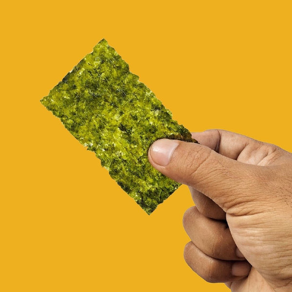 Hand holding crispy sesame oil seaweed between fingers| Morish Snacks