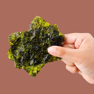 Hand holding crispy shiitake seaweed between fingers| Morish Snacks