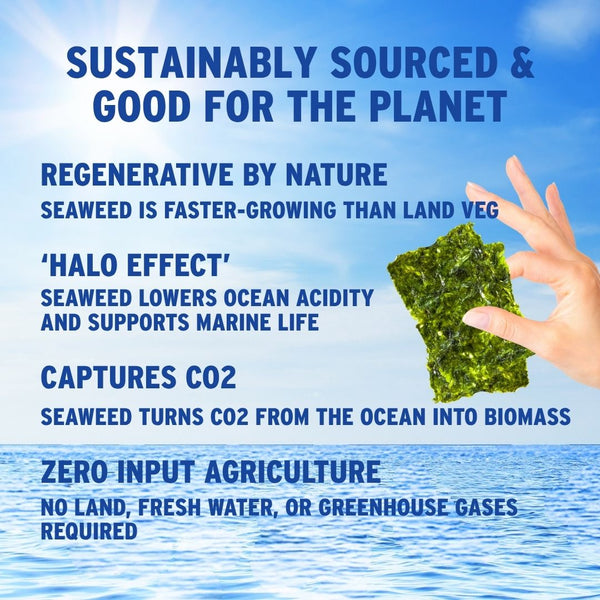 Why organic sea salt seaweed is good for planet with ocean | Morish Snacks