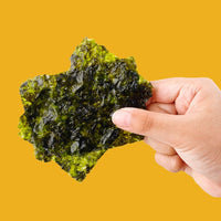 Hand holding some seaweed thins | Morish Snacks