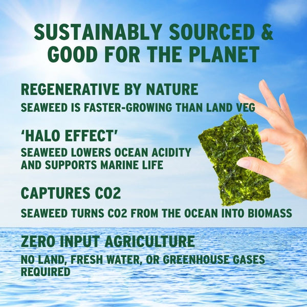 Why crispy avocado oil seaweed is good for planet with ocean | Morish Snacks