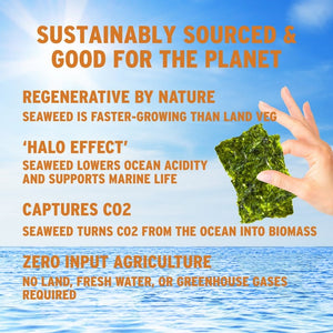 Why crispy sesame oil seaweed is good for planet with ocean | Morish Snacks