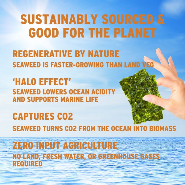 Why crispy sesame oil seaweed is good for planet with ocean | Morish Snacks