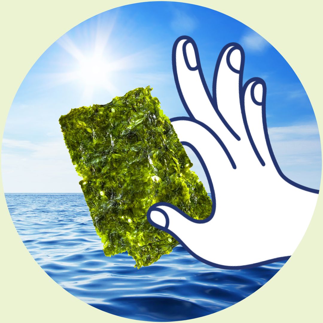 Illustrative hand holding seaweed snack with ocean | Morish Snacks