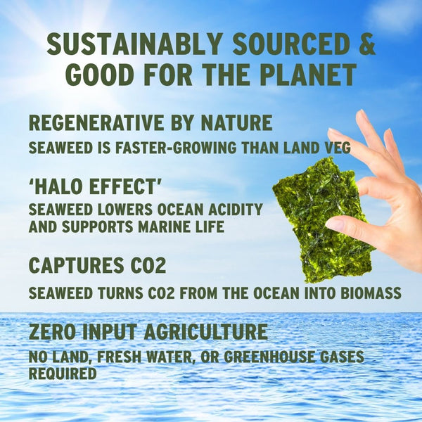 Why crispy seaweed is good for planet with ocean | Morish Snacks
