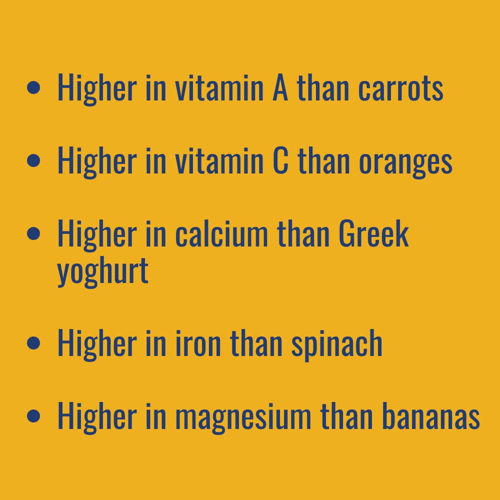 Text highlining seaweed's nutrients | Morish Snacks