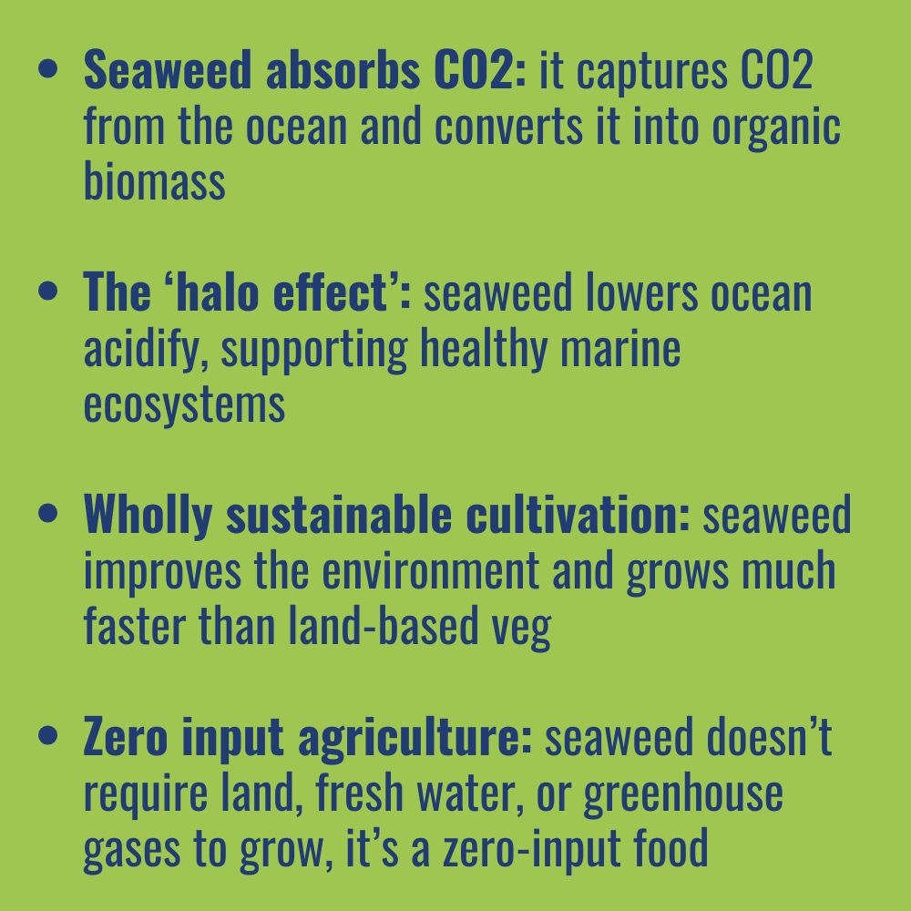 Text why seaweed is good for planet | Morish Snacks